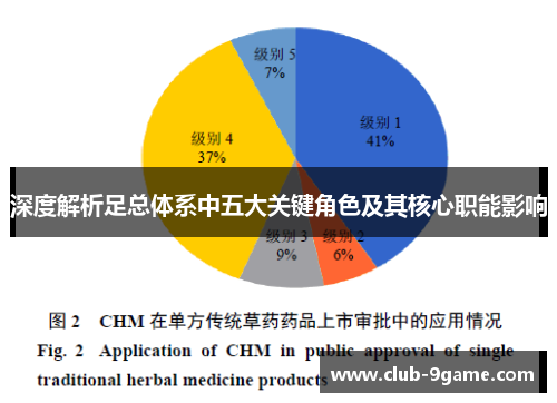 深度解析足总体系中五大关键角色及其核心职能影响 深度解析足总体系中五大关键角色及其核心职能影响