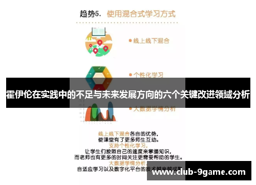 霍伊伦在实践中的不足与未来发展方向的六个关键改进领域分析