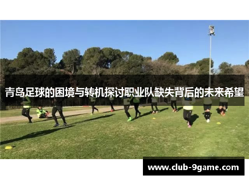 青岛足球的困境与转机探讨职业队缺失背后的未来希望