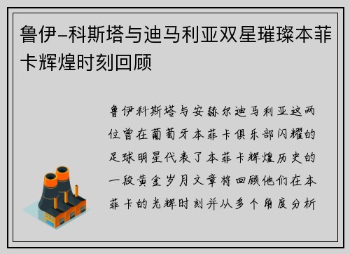 鲁伊-科斯塔与迪马利亚双星璀璨本菲卡辉煌时刻回顾